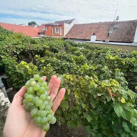 Mikulovska Se Sklepem Mikulov
