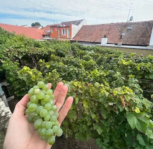 Mikulovská Mikulov